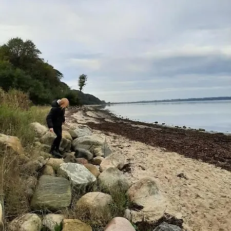 Mini-lejlighed Med Kokken - Deler Bad Og Toilet Med Nabolejlighed 4 * Asperup