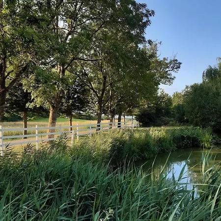Mini-lejlighed Med Kokken - Deler Bad Og Toilet Med Nabolejlighed 4
