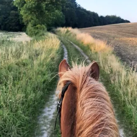 Mini-lejlighed Med Kokken - Deler Bad Og Toilet Med Nabolejlighed 4 Asperup