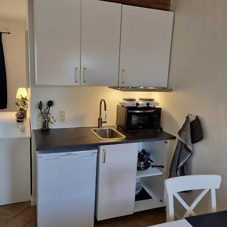 Mini-lejlighed Med Kokken - Deler Bad Og Toilet Med Nabolejlighed 4 *