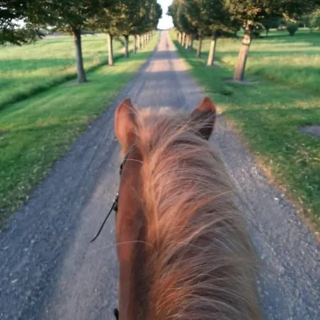 Apartment Mini-lejlighed Med Kokken - Deler Bad Og Toilet Med Nabolejlighed 4