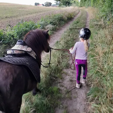 Mini-lejlighed Med Kokken - Deler Bad Og Toilet Med Nabolejlighed 4