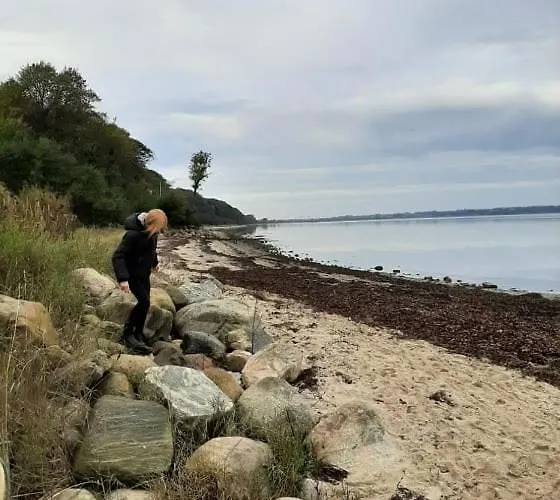 Mini-lejlighed Med Kokken - Deler Bad Og Toilet Med Nabolejlighed 4 * Asperup