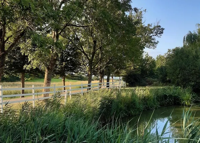 Mini-lejlighed Med Kokken - Deler Bad Og Toilet Med Nabolejlighed 4