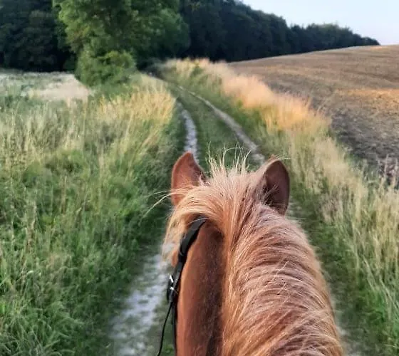 Mini-lejlighed Med Kokken - Deler Bad Og Toilet Med Nabolejlighed 4 Asperup