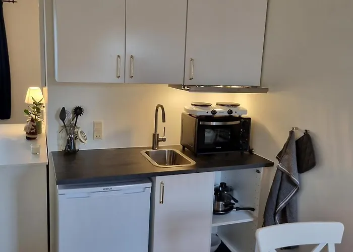 Mini-lejlighed Med Kokken - Deler Bad Og Toilet Med Nabolejlighed 4 *