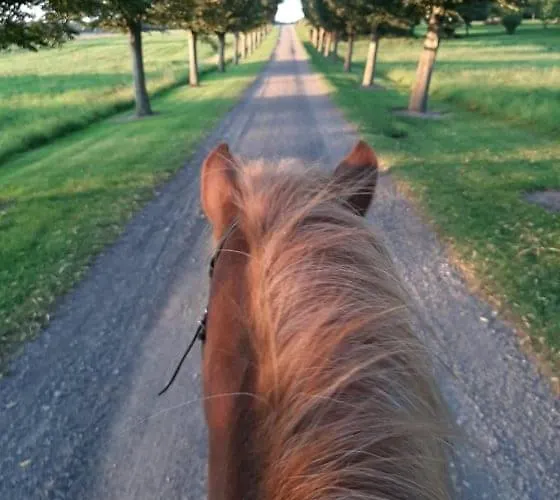Apartamento Mini-lejlighed Med Kokken - Deler Bad Og Toilet Med Nabolejlighed 4
