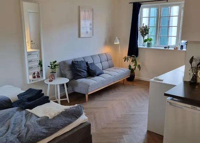 Mini-lejlighed Med Kokken - Deler Bad Og Toilet Med Nabolejlighed 4 Apartamento Asperup