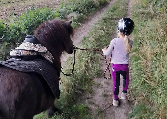 Mini-lejlighed Med Kokken - Deler Bad Og Toilet Med Nabolejlighed 4
